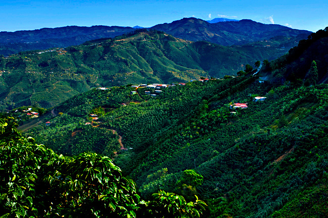 Tarrazu Valley