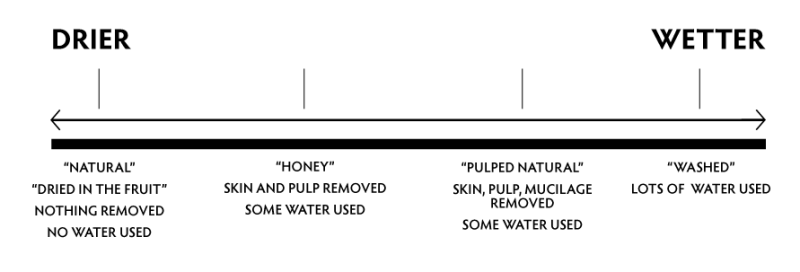 Coffee process chart