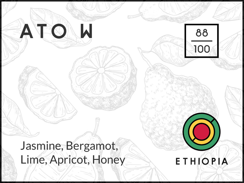 Ato W Ethiopia Ato W Ethiopia