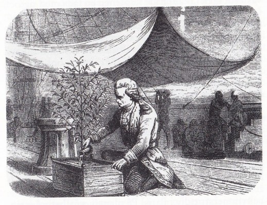 Gabriel De Clieu