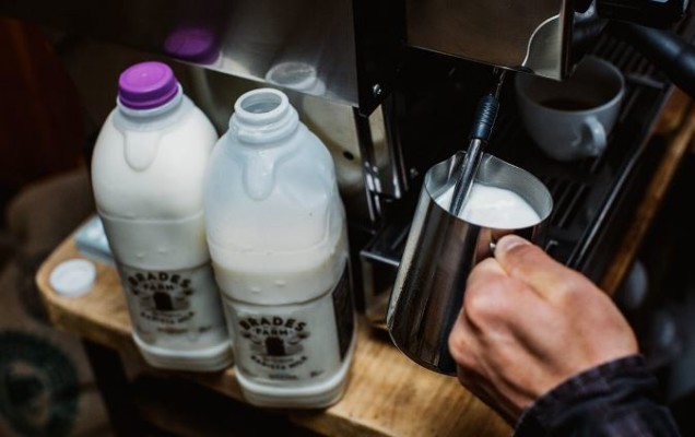 Milk