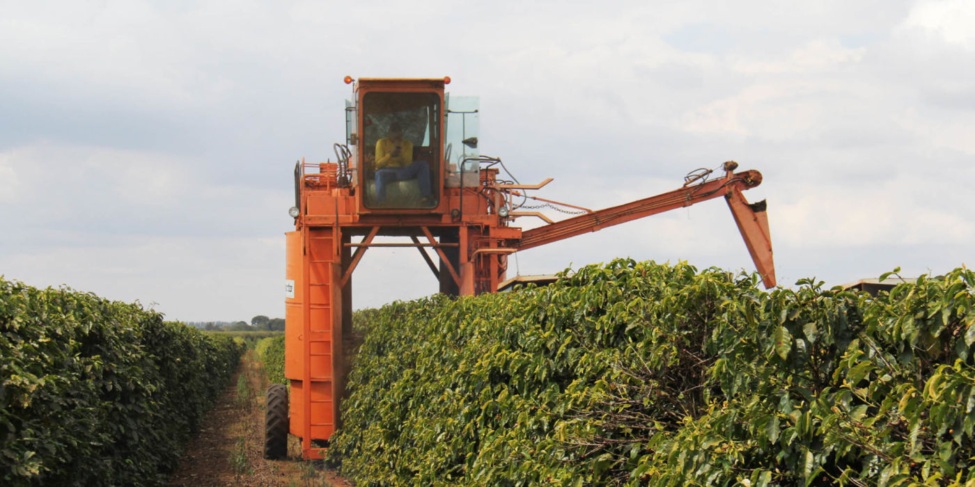 Mechanical coffee harvesting
Brazil