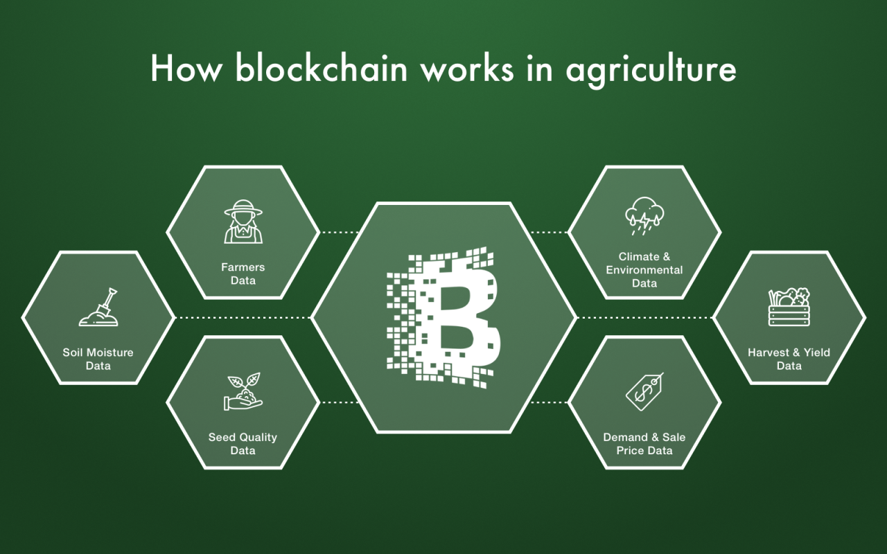 How blockchain works in agriculture