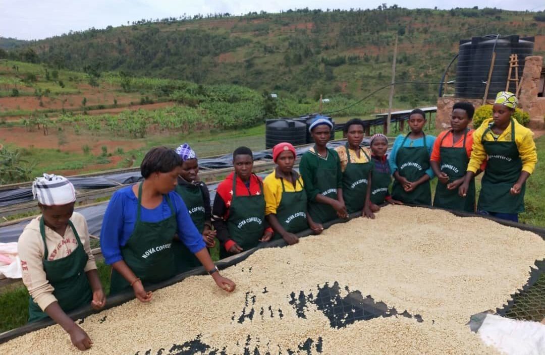 Nova-coffee-plantation-Rwanda