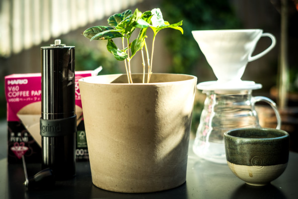 Coffee gifts