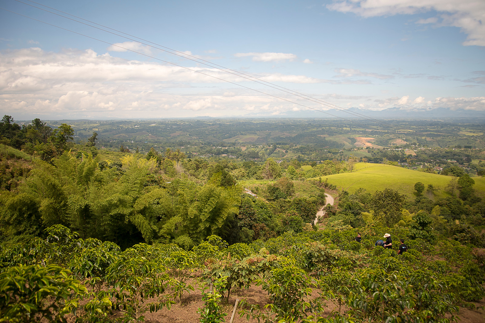 Diego Bermudez - Finca El Paraiso Farm