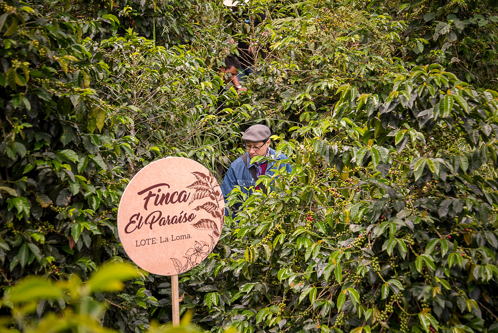 Finca El Paraiso
